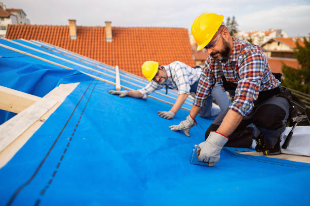Best Roof Moss and Algae Removal  in Peaceful Valley, WA