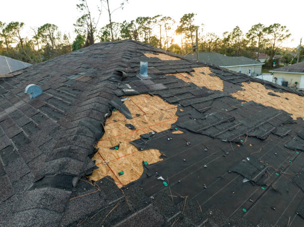 Best Skylight Installation and Repair  in Peaceful Valley, WA